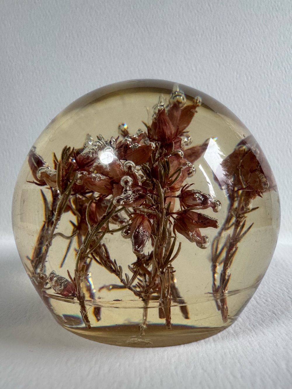 Vintage Botanical Lucite Paperweight - Brown Floral Home Art
